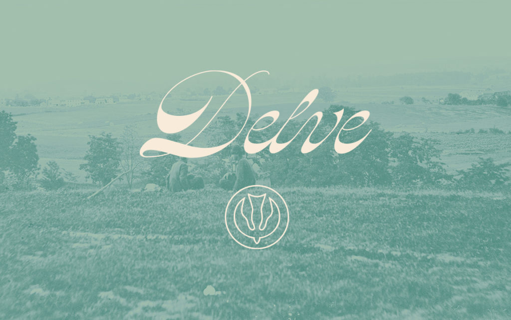 Delve Wines Brand Identity