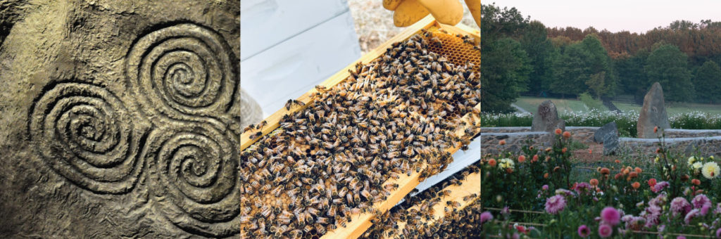 an image showing brand inspiration from a Triskelion, bees, and garden